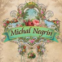 Michal Negrin Hungary